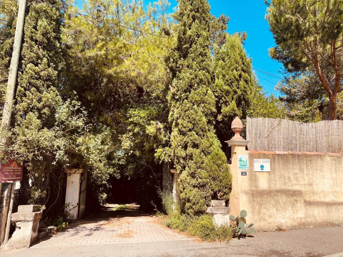 Villa Leona Clim Park Боллен Екстер'єр фото